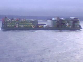 crappy photo of LARGE Barg