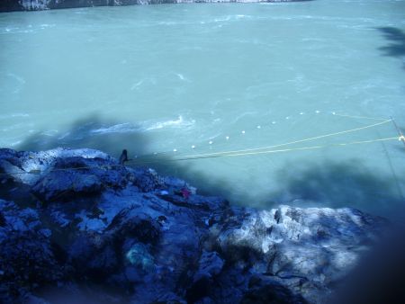 Set netting