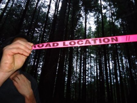Flagging tape marks a proposed road in the deep forest along the Juan de Fuca trail. Photo: Alysha Tylynn Jones