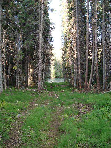 View of the Morice River from the cabin built in the right of way of the pipeline. Photo by Dawn Paley.