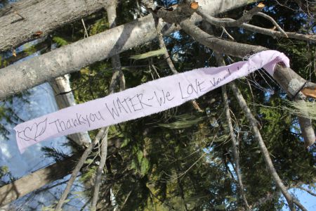 Tree ribbons. Photo: Tami Starlight