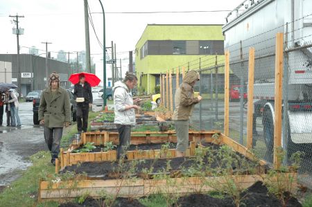 Industrial Community Garden? Is it Guerrilla?