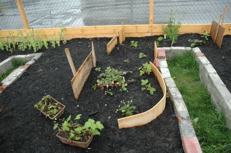 Industrial Community Garden? Is it Guerrilla?