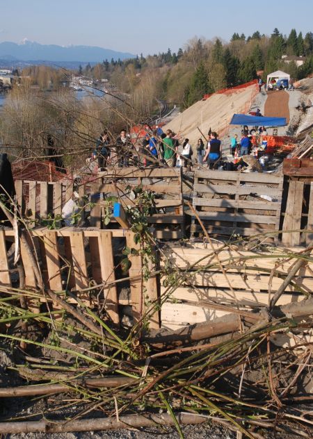 The barricades