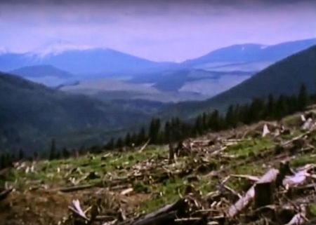 A clearcut in Gitksan territory, from the film "Blockade," by Nettie Wild.