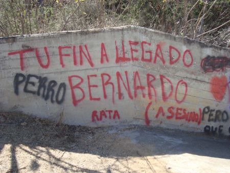 Spray painted threats against Bernardo Vásquez Sánchez in San José Progreso, Oaxaca. February, 2012.