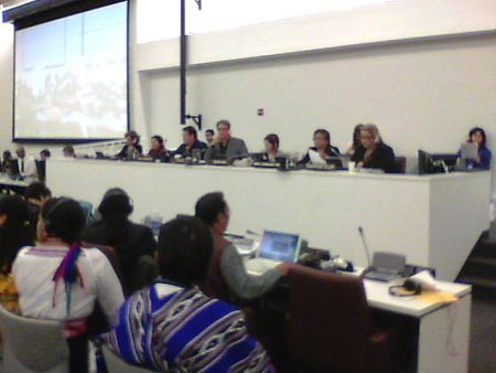 BC Treaty Advocate Elected Chair of UN Permanent Forum on Indigenous Issues