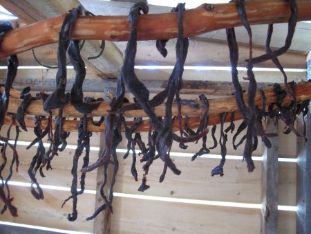 Moose Meat in the SmokeHouse. Preserving Food for the Winter.