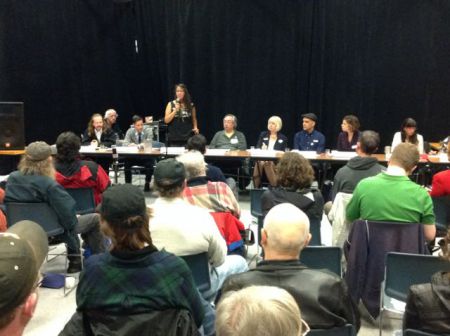 Panel Lines Up to Answer Questions