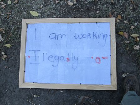  I am Working Illegally (in the federal riding of Jason Kenney)
