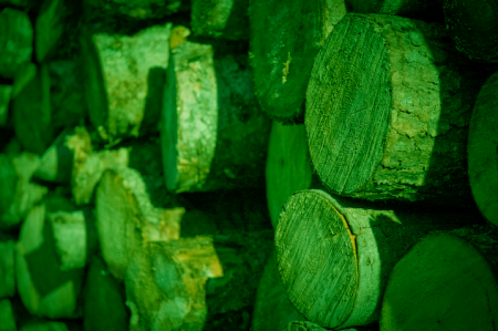 Green Logs? Remix of an image by René Ehrhardt CC2.0