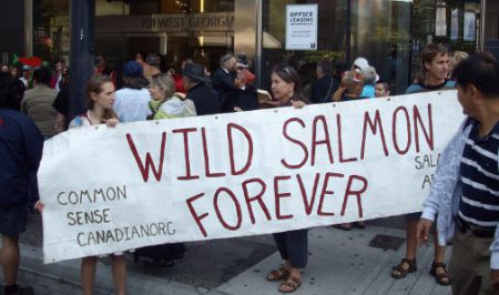 Wild Salmon Forever banner
