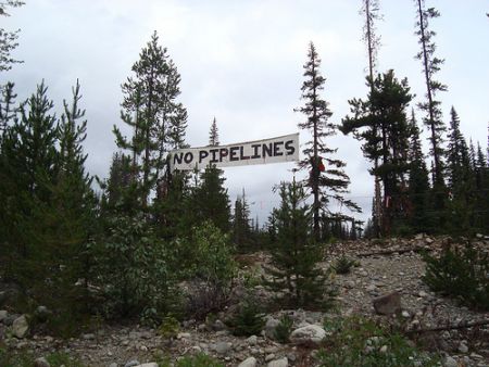 Unistoten Action Camp