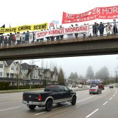 Pipeline rally targets Kinder Morgan & TD Bank 