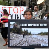 Stopping the Mount Polley Mine