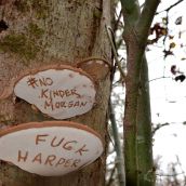 Forest Message