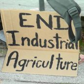 More Photos from Occupy Nelson, Unceded Sinixt Territory