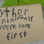 More Photos from Occupy Nelson, Unceded Sinixt Territory