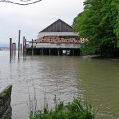 Glenrose Cannery After 1 Week of Vandalism by Government