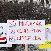 Nelson Rallies to Support Democracy in Egypt