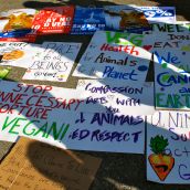 Hope, Anger, Courage: Day One of Occupy Vancouver
