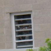 Kids watching the demo from inside the detention centre