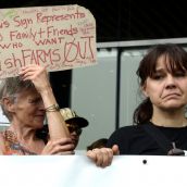 Fish farm foes demand province-wide shutdown 