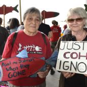 Fish farm foes demand province-wide shutdown 