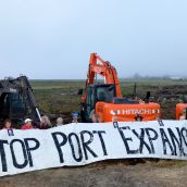 Deltaport Protest Halts Boundary Bay 'Clearcut'