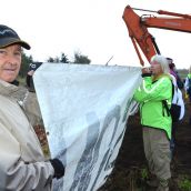 Deltaport Protest Halts Boundary Bay 'Clearcut'