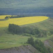 Over Site C