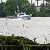 Glenrose Cannery After 1 Week of Vandalism by Government