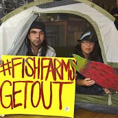 Salmon protectors occupy BC A-G's office 