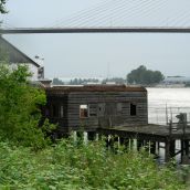 Roof has been removed from part of Cannery