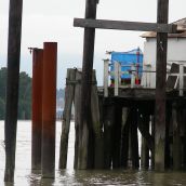 Glenrose Cannery After 1 Week of Vandalism by Government