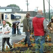 Guerilla Gardening in the East Side