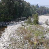 Capilano River July 2015