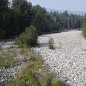 Capilano River July 2015