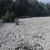 Capilano River July 2015