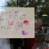 Love is Stronger than Twigs: Save Little Nest!