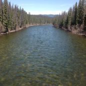 10 – You Can Still Drink from the Morice River