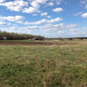 19 – Industrialization Impacts This Farm