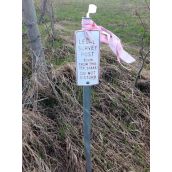 20 – Survey Post for New Road