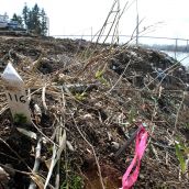 At stake: another home along the SFPR route