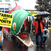 Farms not Ports