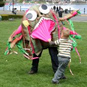 Not sure which marine creature this is, but it's awesome. Victoria, April 15, 2012. Photo: Sandra Cuffe