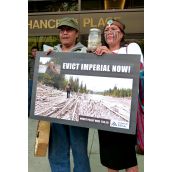 Stopping the Mount Polley Mine
