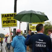 Stop Corporate GREED