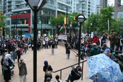 Freedom rally for Palestine & against Israel aggression & violence