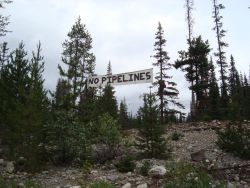 Camp in the right of way of the proposed PTP natural gas line // Dawn Paley